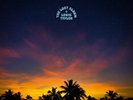 Lewis Taylor - The Lost Album [New Vinyl LP]