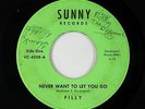 Sweet Soul/Funk Rock 45 - Filly - Never Want To Let You Go - Sunny - autographs?