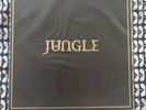 Jungle Self Titled Gold Vinyl LRS Love Record Stores Edition