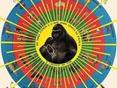 Pedro Santos - Krishnanda (NEW VINYL LP)