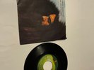 George Harrison My Sweet Lord Isn't It A Pity Vinyl 45 w/ Sleeve