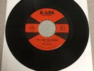 Pet Hasty 7