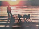 The Human League ‎– Travelogue 1980 Vinyl LP 33 RPM Virgin ‎– V 2160