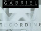 Roy Davis Jr. Featuring Peven Everett - Gabriel (12