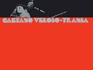 Caetano Veloso - Transa | [Black Vinyl LP] | Vinyl Lovers