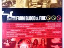 Select Cuts From Blood & Fire Chapter 3 (2 LP) 2000 Reggae Dub Remixed Downtempo