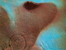 Pink Floyd - Meddle (LP, Album, RE, Gat) (Very Good Plus (VG+)) - 9447er