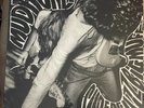 Superfuzz Bigmuff by Mudhoney - Sub Pop LP vinly record