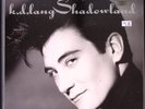 K.D. LANG K.D. LANG SHADOWLAND SIRE RECORDS VINYL LP 147-73W