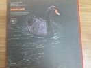 Tchaikovsky Swan Lake Vinyl First Stereo Recording