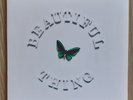 The Stone Roses Beautiful Thing limited edition 12