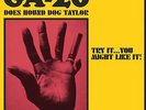 Ga-20 Does Hound Dog Taylor Pink Splatter) (Indie Exclusive) (Vinyl)