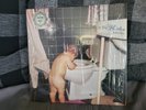 Bakesale by Sebadoh SP 944 2011 Vinyl Record