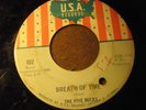 RARE Garage Rock The Five Bucks 