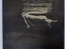 BILL EVANS UNDERCURRENT SOLID STATE SR3084 JAPAN VINYL LP