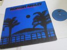 ROBERT ASHLEY AUTOMATIC WRITING LP 1979 PRESS LOVELY MUSIC PRIVATE NM
