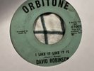 DAVID ROBINSON I Care For You I LIKE IT LIKE IT IS N.O. Funk 45 ORBITONE 1001/2