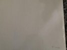 The Beatles White Album Vinyl,  Stereo, 1st Pressing UK