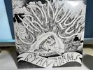Ryan Adams & The Cardinals ‎Cardinology 180gm Vinyl LP Record SEALED