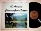 Abingdon VA The Amazing Chestnut Grove Quartet Christian Gospel Vinyl LP Record