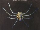 CLAN OF XYMOX - Spider On The Wall (reissue) - Vinyl (LP)