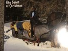 Ray Charles - The Spirit of Christmas Vinyl LP BRAND NEW SEALED BEST PRICE SAVE
