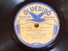 Bluebird 5030 Cannon's Jug Stompers VIOLA LEE BLUES  78 rpm 1928 VV+ Blues