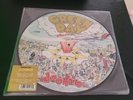 GREEN DAY- Dookie - picture disc vinyl record LP - NEW