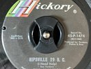 1967 GARAGE The SPARKLES--HIPSVILLE 29 B.C. I WANT TO BE FREE--HICKORY 1474 MINT