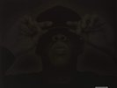JAY-Z The Black Album (Vinyl) Explicit