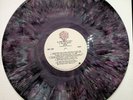 Devo Q:Are We Not Men LP  multi-color marble vinyl 1978 Canada pressing NM vinyl