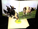 PINK FLOYD ATOM HEART MOTHER HARVEST RECORDS SKAO-382