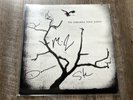 The Airborne Toxic Event - Self Titled Vinyl Album LP Red Splatter SIGNED - NEW