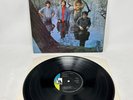 Groundhogs - Scratching the Surface (1968) LBS83199 LP Vinyl Record