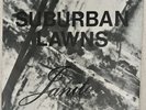 SUBURBAN LAWNS - JANITOR/PROTECTION 7” 45 RPM EXCELLENT CONDITION RARE