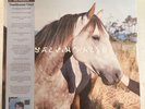 SALVIA PALTH – MELANCHOLE - LTD. ED. DOUBLEMINT 3RD PRESS LP NEW SEALED - 18