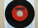 MUDCRUTCH TOM PETTY Up In Mississippi 1973 PEPPER ORIGINAL HOLY GRAIL 7