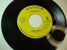 Garage Psych 45 We the People 