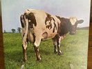 Pink Floyd Atom Heart Mother Vinyl 1975 OG SMAS-382 LP VG