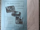 Flamin Groovies - Live at the Roxy   (Wizardo Records)