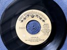 THE VOICES OF EAST HARLEM - CASHING IN rare USA 1973 / NORTHERN SOUL / EX