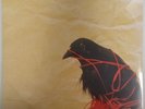 Transatlanticism by Death Cab for Cutie - (NEW&SEALED) w/Minor Sleeve Damage