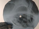 HOWLIN WOLF CHANGE MY WAY X-Ray USSR Record Roentgen Bones Ribs Music Vinyl