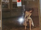 Carly Simon - Boys In The Trees  Sealed SuperDisk Half-Speed Audiophile