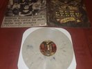 New Found Glory NFG Not Without A Fight LP On Gray Rare OOP Pop Punk Blink 182
