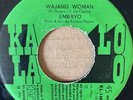 Jazz-Funk EMBRYO Wajang Woman NAPPY MEYERS 45 Get It While You Can 7