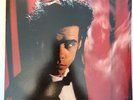 Nick Cave and the Bad Seeds, Kicking Against the Pricks NM Mute first pressing