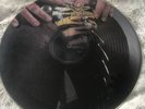 W.A.S.P / WASP  Animal (F**k Like A Beast) 12” PICTURE DISC UK 1984 72209-0 M