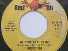 45 NOS / RODDIE JOY / HE'S SO EASY TO LOVE / RED BIRD