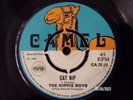 THE HIPPIE BOYS  -  CAT NIP  (REGGAE)  45